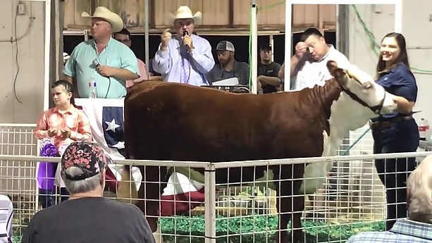 Columbia County Fair Livestock Premium Sale 2019